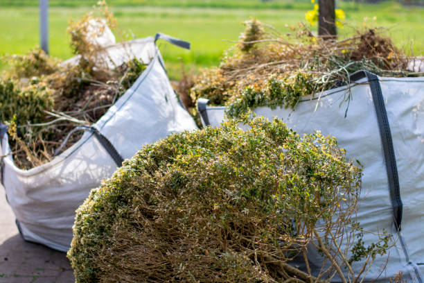 Best Moving and Downsizing Cleanouts  in Johnsonville, SC